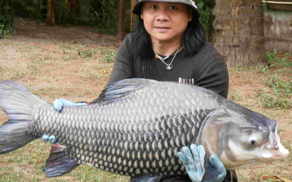 รูปสุดท้ายแล้วครับน้า กระโห้ได้ที่นี้เหมือนกันแต่บ่อที่อยู่ข้าง๚๚ครับ สรุป อร่าไพม่า 3 เรทเทว 2 ปลาจ