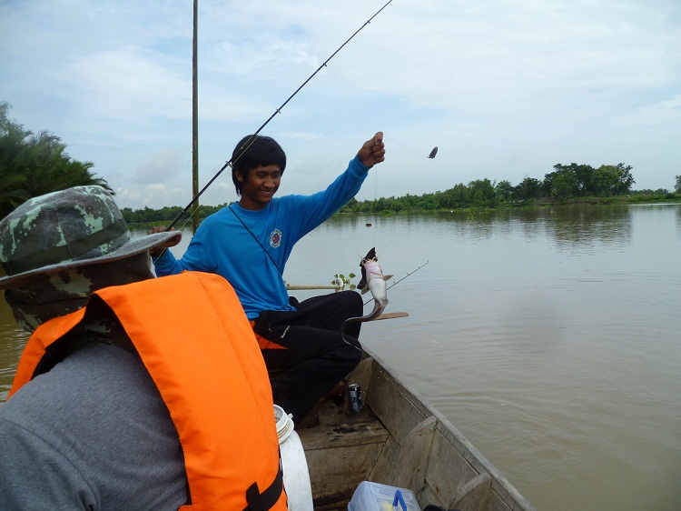 [q][i]อ้างถึง: fishingjoke posted: 25-09-2555, 12:09:03[/i]

 :cheer: :cheer: :cheer: :cheer: :che