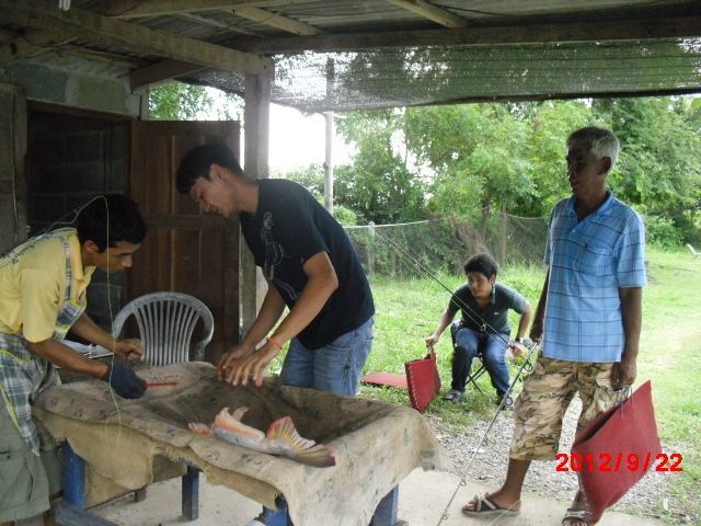 ร่วมด้วยช่วยกันครับ :cheer: :cheer: :cheer: :cheer:
 :cheer: :cheer: :cheer: :cheer: :cheer: :cheer