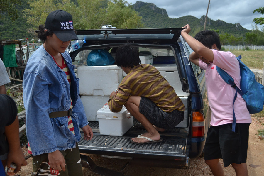  [b]ดูจำนวนลังซะก่อน ปลาไม่ได้เยอะขนาดนั้นนะครับ แต่เอาเผื่อเจอตัวอย่างปลาเป็นดีๆที่น่าใจ ไปเลี้ยงต่