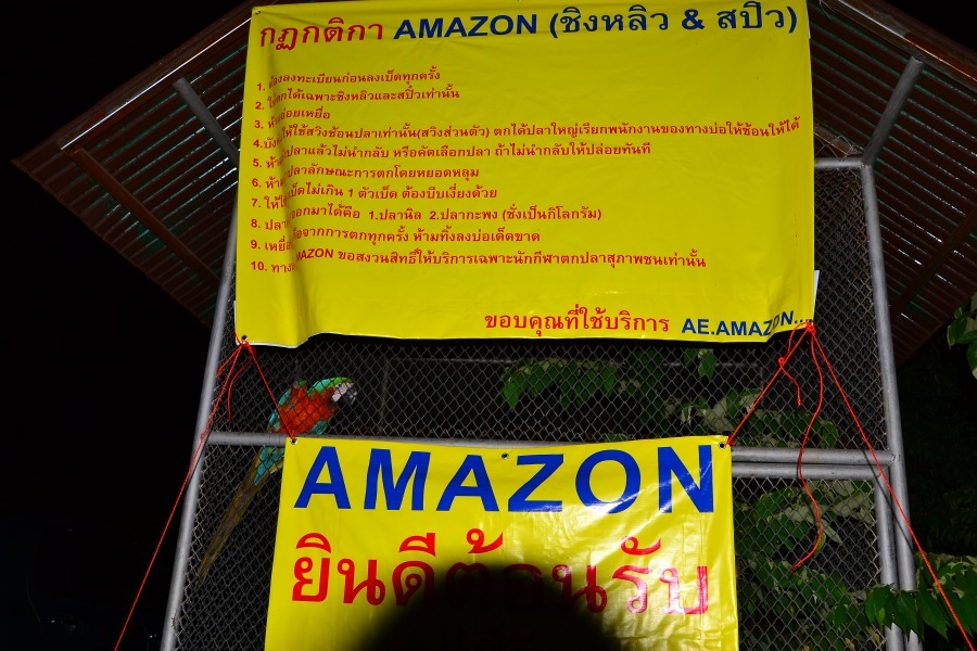 เดอะ ต๋องคลาสสิก ตลุย AMAZON ปะทะ.................