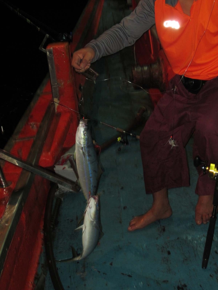 ใต๋ฮกตะโกนว่า มีฟูงเรนโบว์อยู่ใต้ท้องเรือ ลุงเล็กจึงเปลี่ยนคันพร้อมเหยื่อหมานส่วนตัวที่ไว้ปราบเจ้าเร