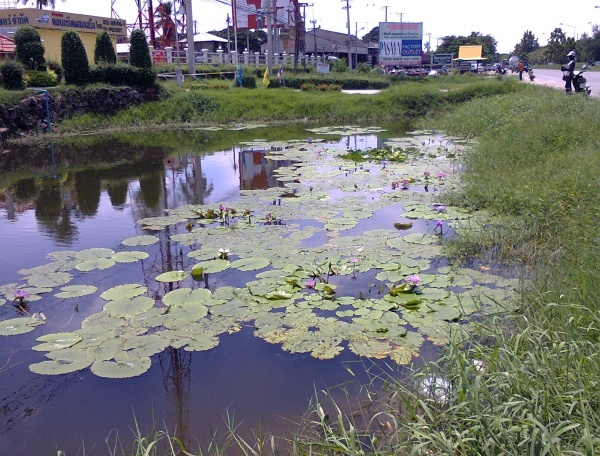 ...เอาซะหน่อย... :cool: