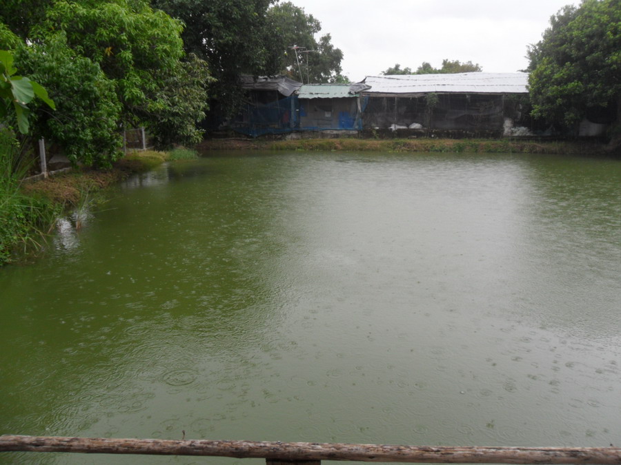 ช่วงนี้ฝนตกบ่อยๆทุกวันเลยครับ เพื่อนๆ ดูแลสุขภาพกันด้วยนะจ๊ะ 
 :love: :love: :love:

สวัสดีครับน้