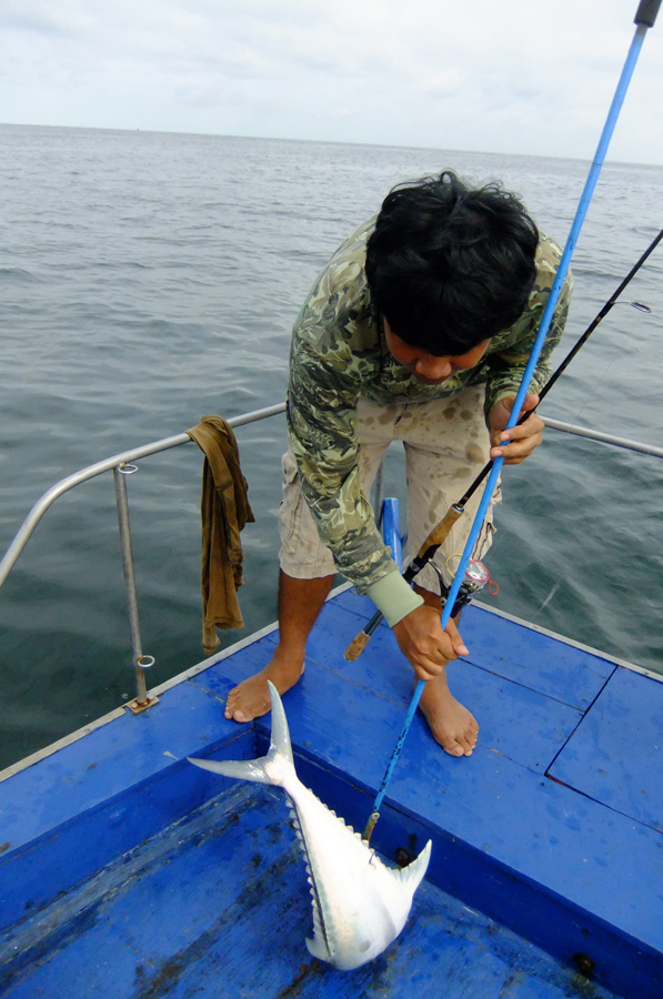  [b]ไต๋อ่อนใช้ไม้วิเศษเชิญขึ้นเรือโดยง่าย[/b] :smile: