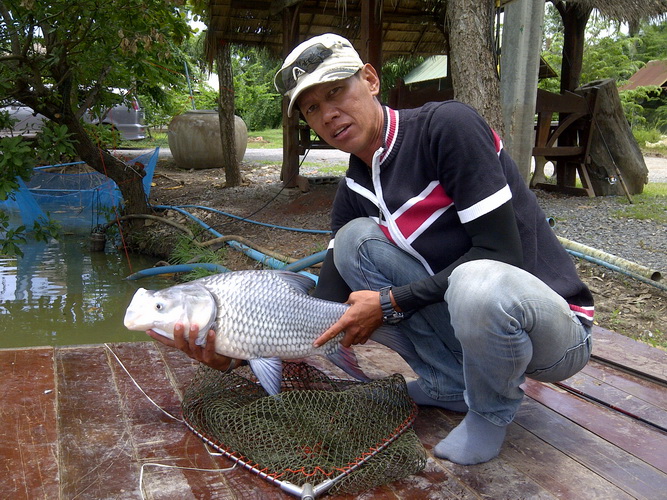 เจ้าตัวนี้ย่อมลงมาหน่อยครับ