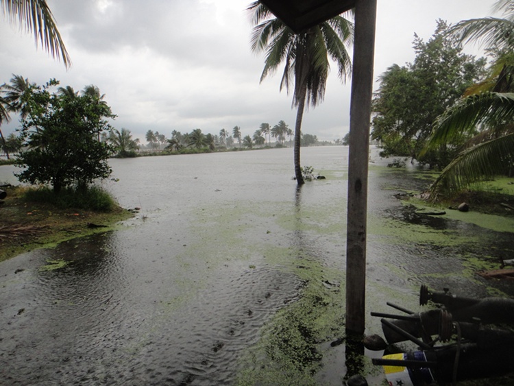 

               และแล้วฝนก็ตกลงมาจนได้... :smile: :smile: :smile: :smile: :smile: :smile: