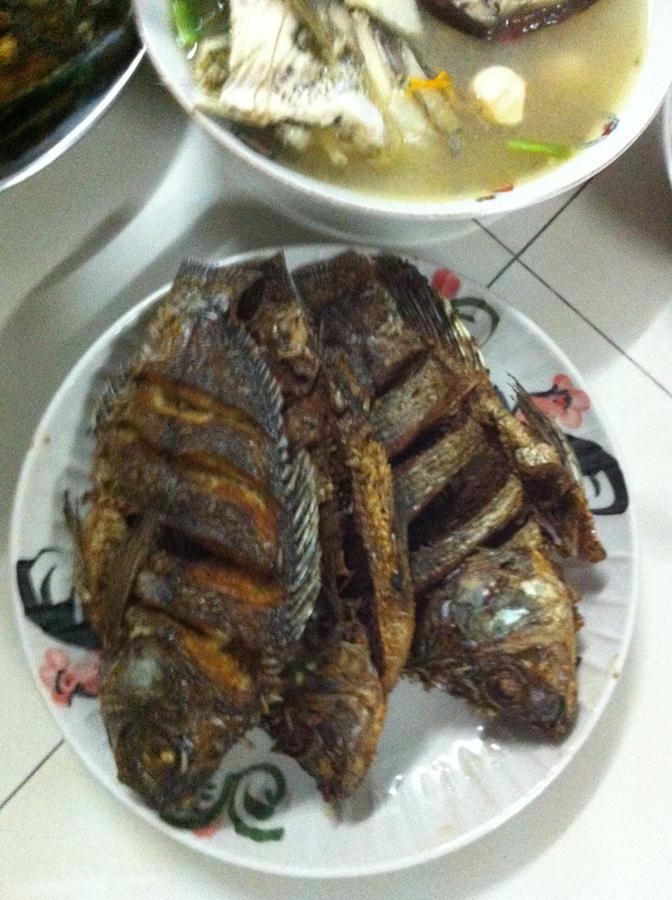 ปลานิลทอดกรอบ แทบจะละลายในปากกันเลยทีเดียวเชียว  :grin: :grin: :grin: