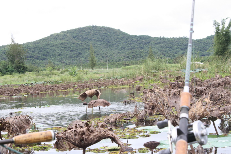 ล่องเรือ ตีตามข้างอ่าง  บ้าง ต้องคอยหลบตาข่ายบ้าง   เวลาก็ล่วงเลยมาพอสมควร  กระทั่ง  ได้ยินเสียง ตูม