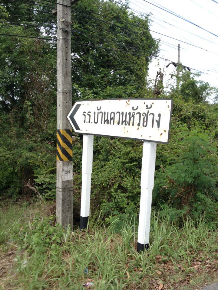 ชะโด โรงไฟฟ้าจะนะ จ.สงขลา