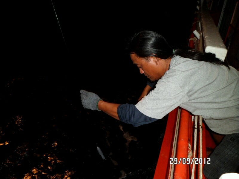 ปลามุดใต้ท้องเรือ :grin: