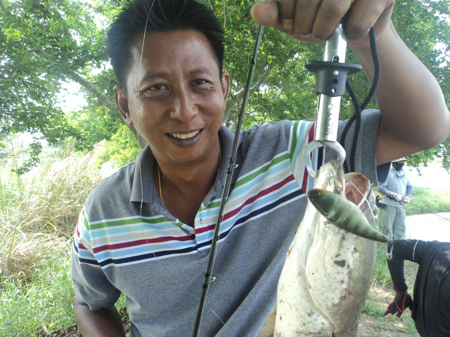 ปลาตาบอด