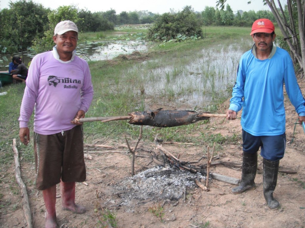 สุกแล้วจัดมา



nongconnon
ขอบคุณที่เข้าครับน้า