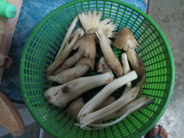 กับข้าวเย็นนี้คับ :umh: :umh: :umh: