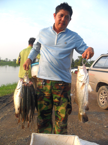 นีทั้งพวงและใหญ่ครับ