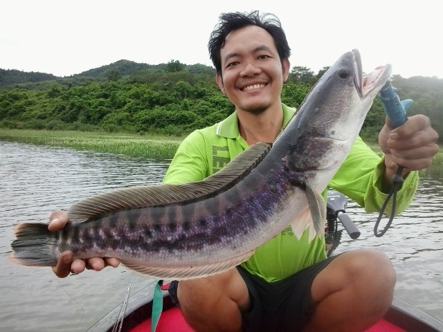 + 1 ตามชมครับ นานนานไปเที่ยวไกลที โควต้าดันหมดวันซ้อมซะงั้น มะงั้นนะ เจ้าตัวนี้มีจานกลับบ้านแน่ครับ 