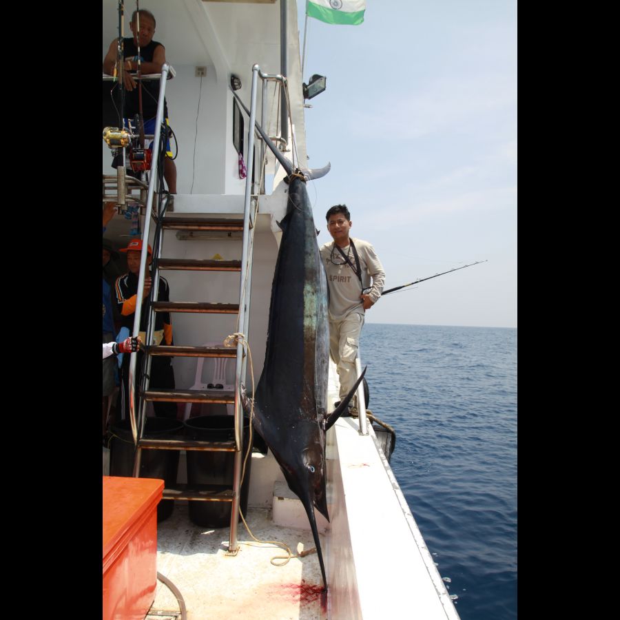 ท่านกุ้งก้ร่วมวง    นี่แหละครับ  เจ้าของคลิป  หน้า 15   Marlin กระโดด

ขอบคุณครับ ท่าน  :prost: :p