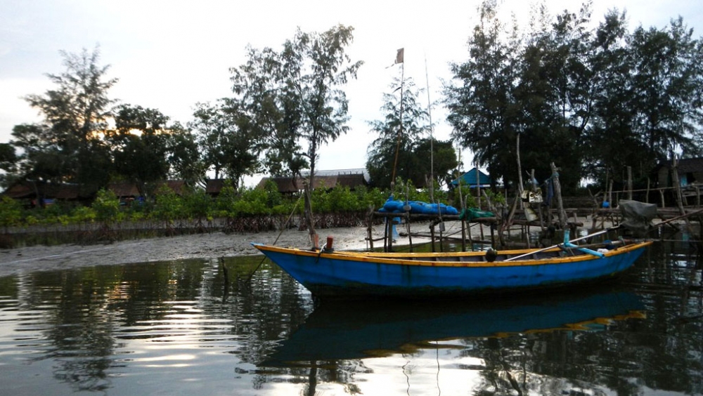 ที่ท่าเรือ..กำลังมีไม้โกงกางโตขึ้น.. :grin: