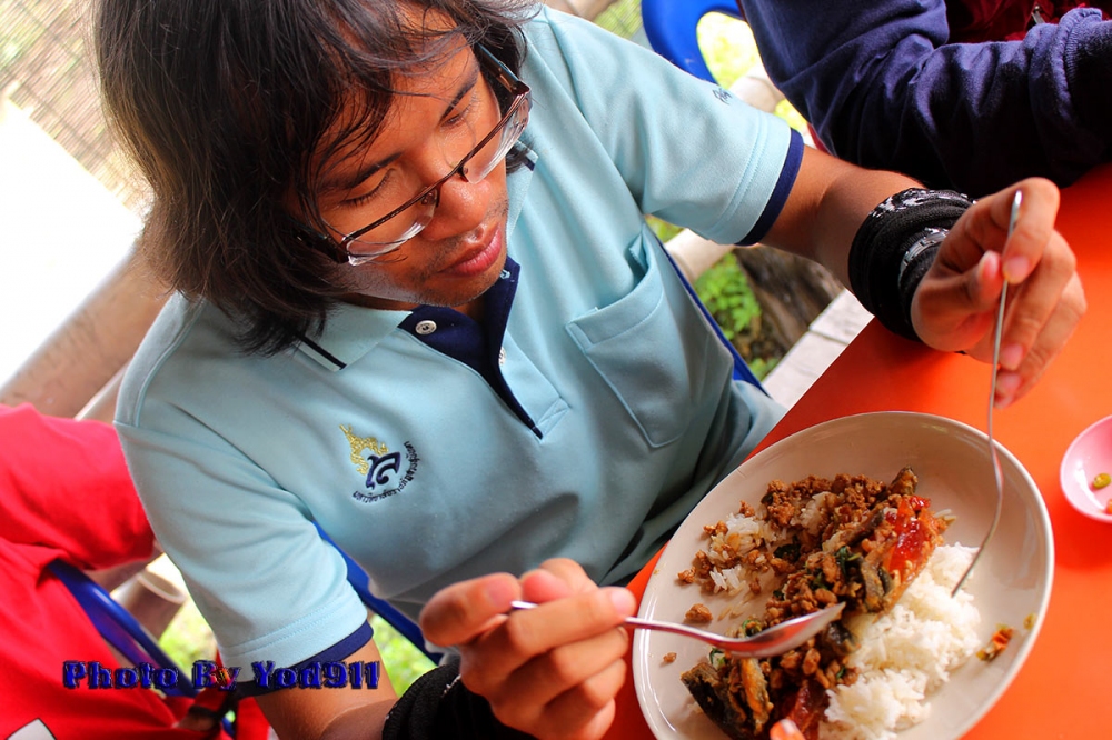 เมณูเกือบจะเป็น อาหารประจำชาติ  ผัดกระเพรา  :laughing: :laughing: :laughing: :laughing: :laughing: :