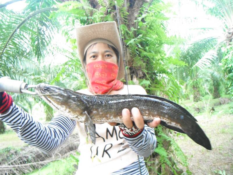                                แบบนี้ต้องจัดอีกใบ เพราะกว่าจะได้ ลมแทบจับเลยชิมิป้าเล็กจ๋า... :laugh
