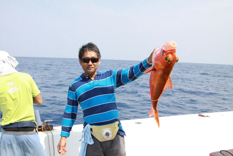 น้าชูก้สอยมาเหมือนกันครับ :umh: :umh: