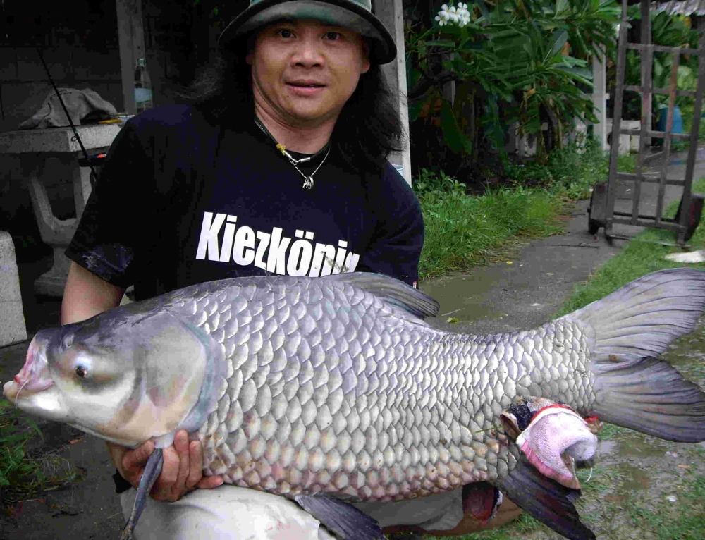 ขอบคุณ น้า๚๚ siamfishing ทุกท่านครับ อบอุ่นจริง๚๚ 
 :prost: :prost: :prost:  :cheer: :cheer: