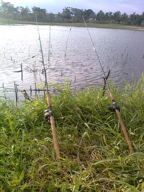 แล้วก็ลองเอาตับไก่โยนไปครับ 