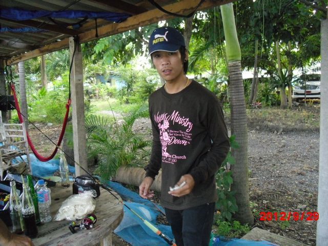  :cheer:
 :cheer:
 :cheer:
 :cheer:
 :cheer:
 :cheer:
 :rose: :rose: :rose:ติดปลาอึ่งไปครับ น้