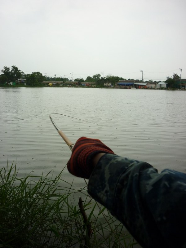                                   นี่คือภาพตัวอย่างในกระทู้ต่อไป ในกระดาน สปิ๋ว ชิงหลิว ครับ  ผมเห็น
