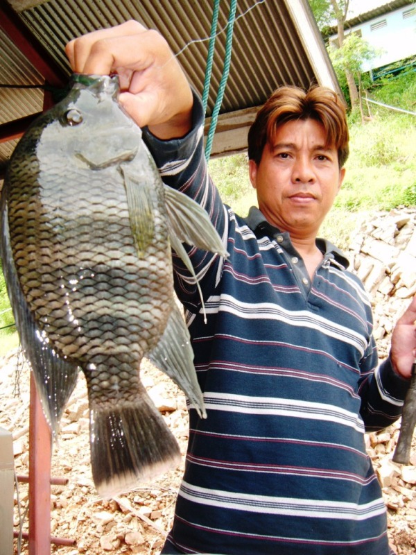 ฝากรูปพี่ไก่ ไว้สักรูปนะครับผม  :cheer: :cheer: :cheer: :cheer: :cheer: :cheer:
