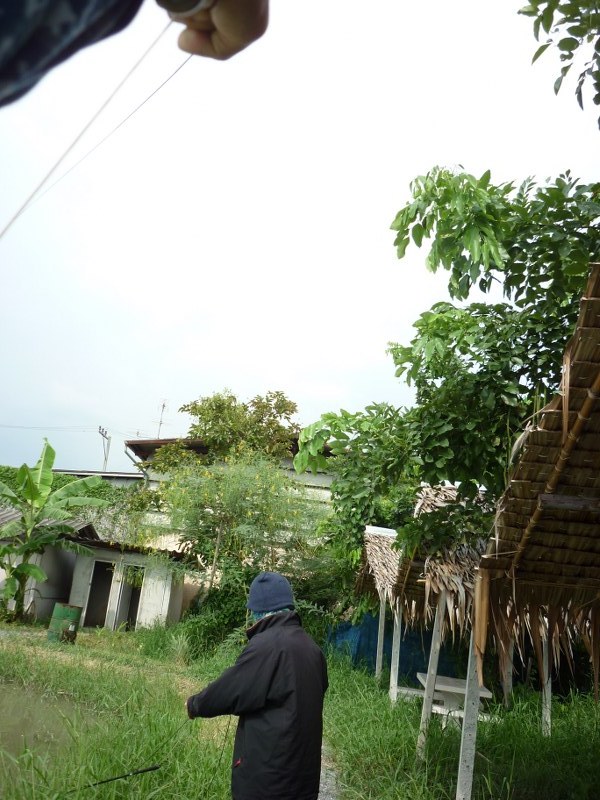                                                                                                  ในจ