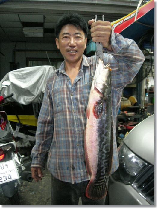 ฝึกซ้อมกับบ่อสนามแถวบ้าน... :cheer: :cheer: :cheer: