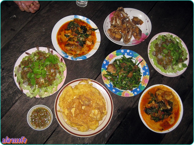 ภาพสุดท้ายอาหารและกับข้าวที่แต่ละมื้อ ที่กินกันอย่างเอร็ดอร่อย

ชอบมากๆ ครับ ถึงไม่ได้อย่างที่คิดไ