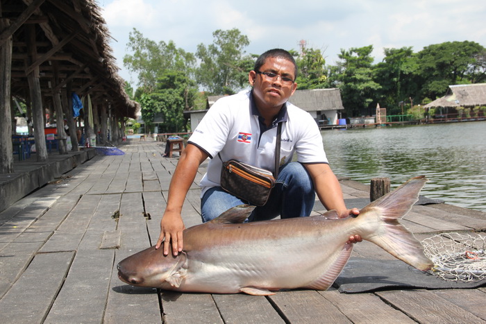 หันมาอีกที ปลาขึ้นมาสะแล้ว   :smile: