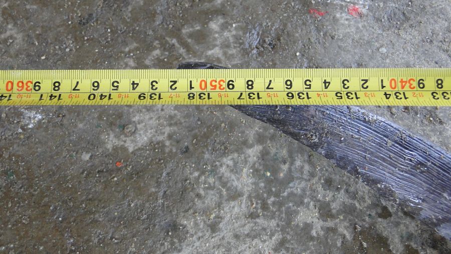สถิติ  ความยาว  ตั้งแต่ปลายปาก  ถึง  ปลายหาง  350 cm  พอดีครับ   

น้ำหนักไม่ได้ช่างครับ  แต่ตามปร
