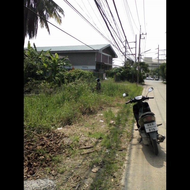 ไปใหนหมดหว่าไม่มีมากัดเหยื่อตูบ้างเลย(เหยื่อของตูหมานๆ.....นะเฟ้ย) :spineyes: :spineyes: :think: :th