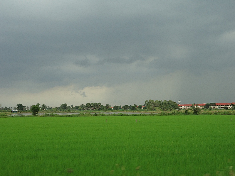 นาฝั่ง..ตรงข้าม ฝนก็เริ่ม ไล่มาแล้ว   :ohh: :ohh: :ohh: