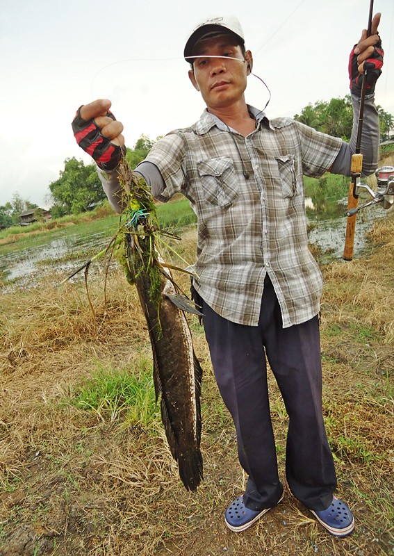 เยี่ยมยุทธ..ไร้เทียมทาน มากๆ  "ท่านจอมยุทธ"   ( ข้าขอ..คาราวะ )  :grin: :grin: :grin: :laughing: :