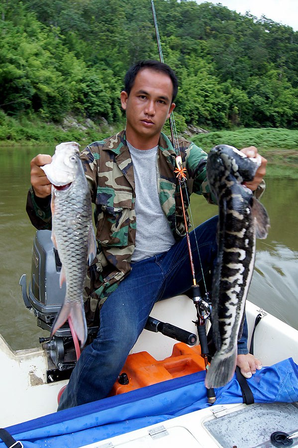 ข่าว แพโชค 