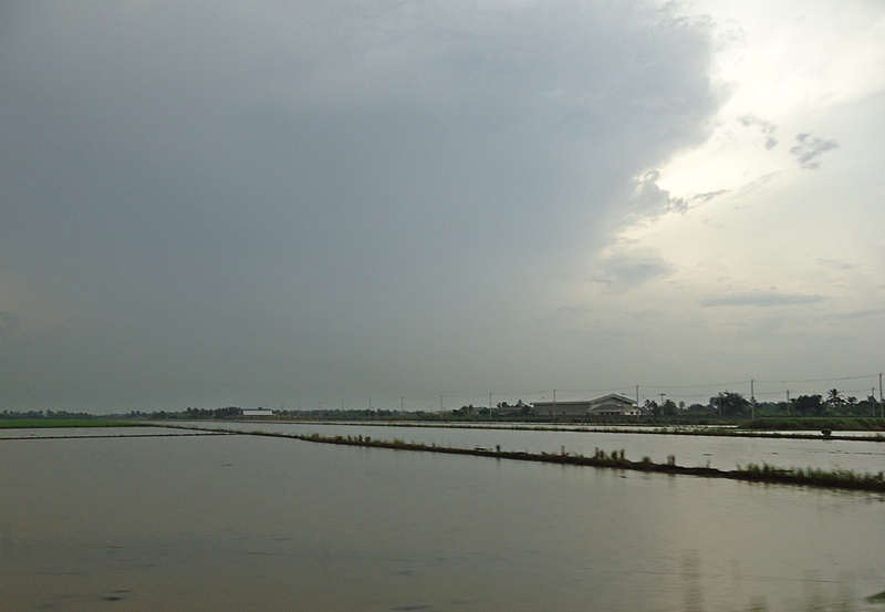 ฝนตั้งเค้า มาอีกแล้ว   :ohh: :ohh: :ohh: