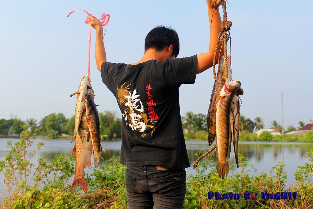  [b]ภาพสุดท้ายครับ เวลามีน้อยแต่ตั้งใจที่จะร้อยเรียงเรื่องราวเล่าความให้ชมกันนะครับ เป็นอีกครั้งที่ด