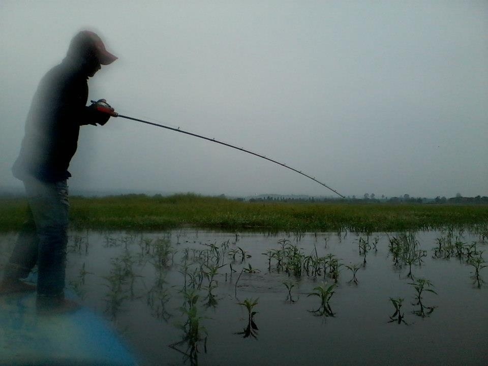  :cheer: :cheer: :cheer: :cheer: :cheer: :cheer:ฝนตกก็ บ่ยั่น เล่นมันกลางฝนเลยครับ