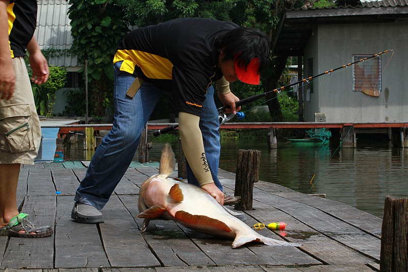 [q][i]อ้างถึง: อ๊อฟ posted: 08-10-2555, 21:20:07[/i]

[q][i]อ้างถึง: แชมป์ปลาแมน posted: 08-10-255