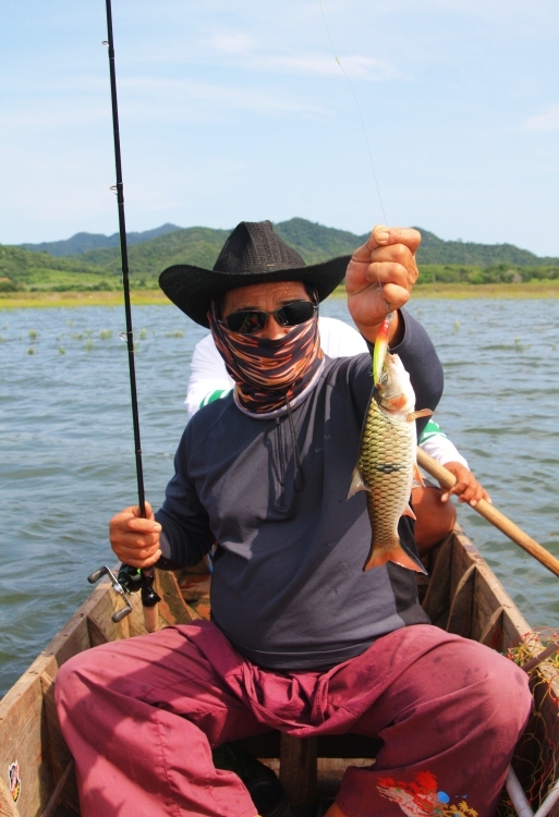ตัวไม่โตแต่กัด ก็ชื่นใจแล้วครับ :love: :love: :love: