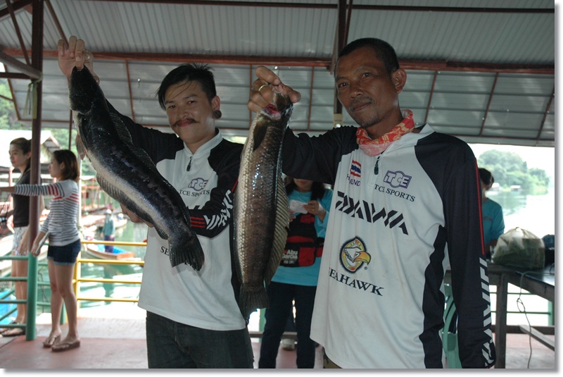 +++น้าจิ้ม กับชะโด 3.75+++ เย้ เย้ TCE DAIWA SUKHO2012 สู้สู้ เว้ยเฮ้ยยยย!!!!!! :cheer: :cheer: :che