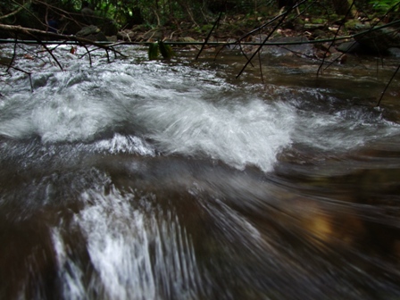 บางช่วง น้ำก็ไหลเชี่ยวชวนให้นึกถึงฉากสวยๆ ในเรื่อง A River Runs Through It  ครับ