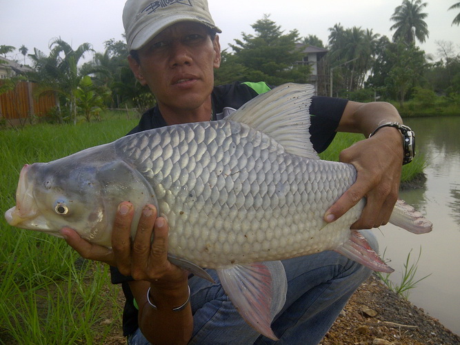 2 ภาพนี้เป็นคนละวันกันนะครับ