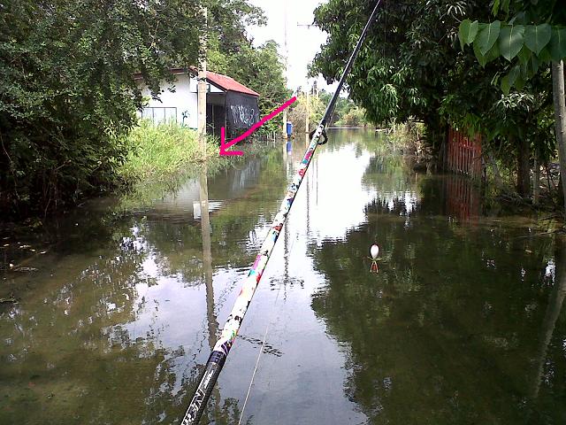 +++ ได้ยินเสียงกัดตรงโคนเสาไฟครับ +++