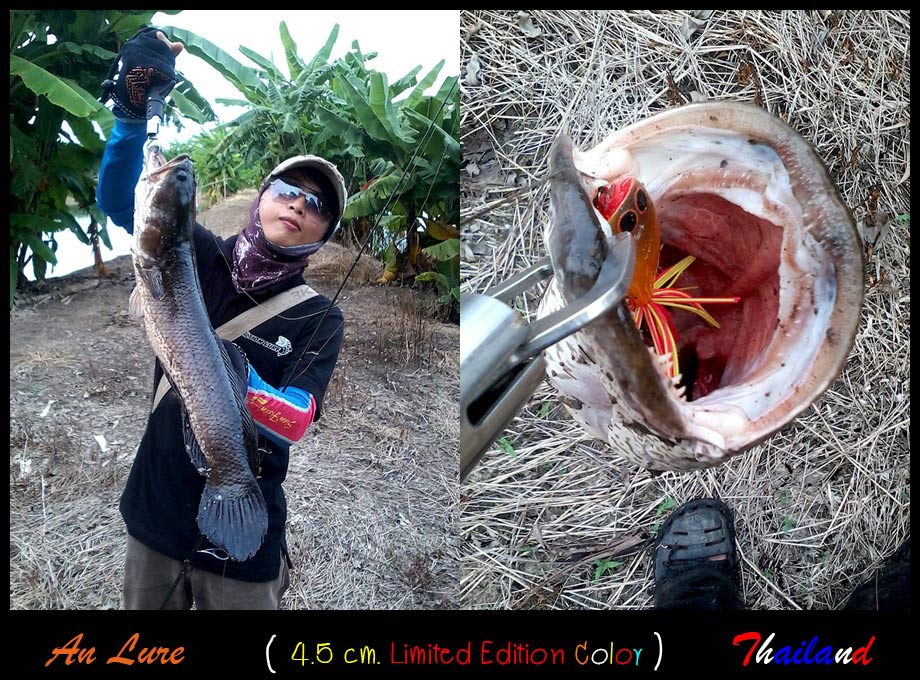 

กบไม้ก็ตัวนี้ครับ  :grin: 



