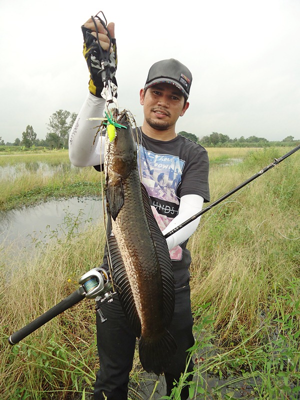 จัดให้..อีก (รูปมันสวย)  :grin: :grin: :grin: